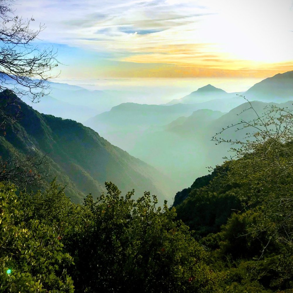 Meet your Posher, Maja